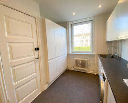 Nyrenoveret 3-værelses lejlighed i Aalborg centrum