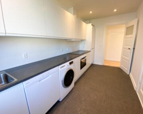 Nyrenoveret 3-værelses lejlighed i Aalborg centrum