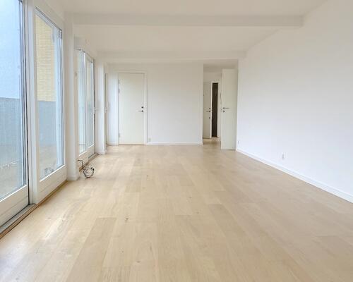 Penthouse ved Søerne, med to store terrasser