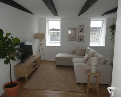 Charmerende taglejlighed med altan og fjordudsigt