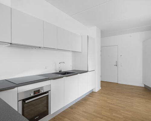 Lys og indbydende lejlighed med stor altan i Aalborg