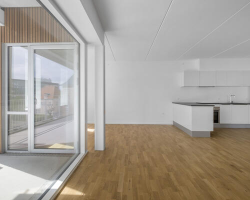 Lys og indbydende lejlighed med stor altan i Aalborg