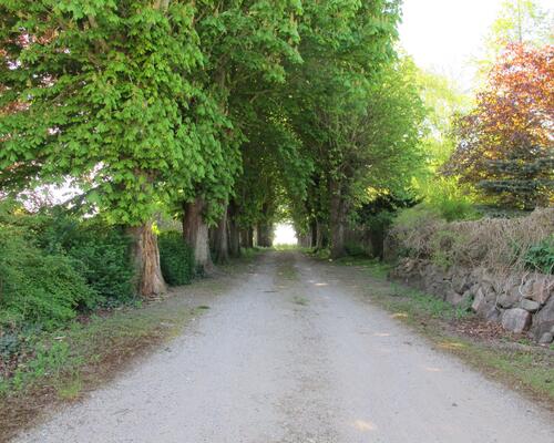 5 værelses hus i Otterup