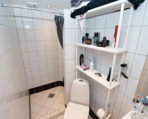 Lys og indbydende lejlighed i Aalborg med hyggelig gårdhave