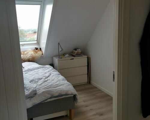 Delevenligt lejemål søger ny lejere