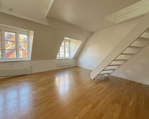 Hyggelig lejlighed med tagterrasse nær Kongens Nytorv