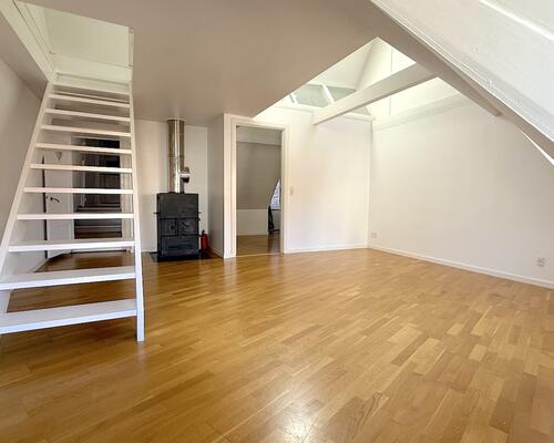 Hyggelig lejlighed med tagterrasse nær Kongens Nytorv