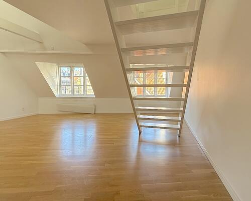 Hyggelig lejlighed med tagterrasse nær Kongens Nytorv