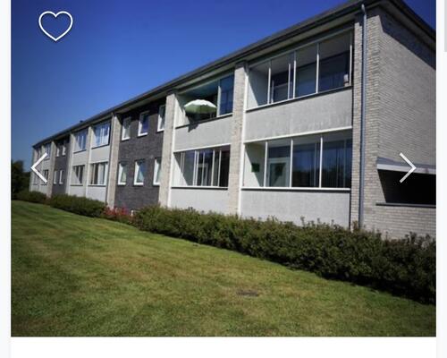 Couple looking for a apartment in Toftlund 
