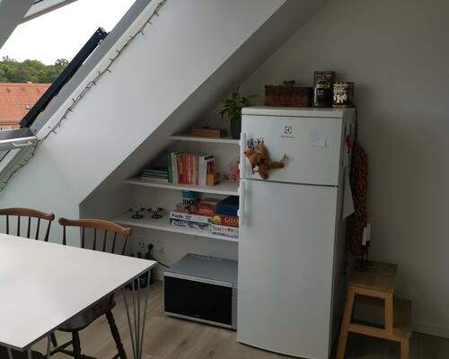 Delevenligt lejemål søger ny lejere