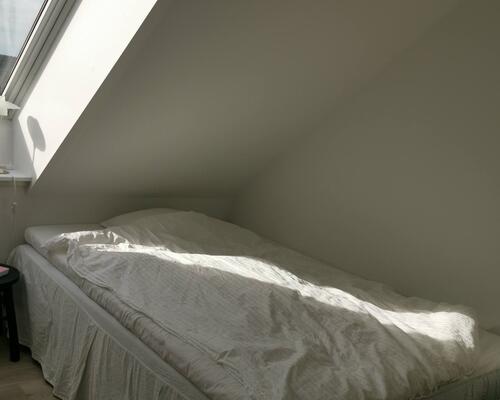 Delevenligt lejemål søger ny lejere