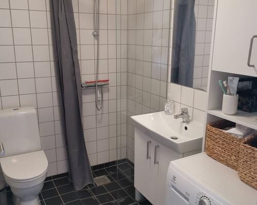 Delevenligt lejemål søger ny lejere