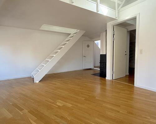 Hyggelig lejlighed med tagterrasse nær Kongens Nytorv