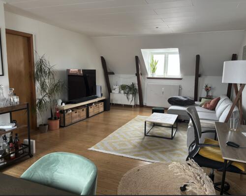 Fed 3. værelses på charmerende Langelinie