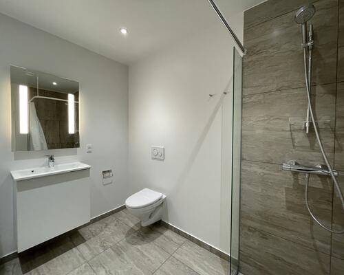 2 værelses lejlighed i Viborg