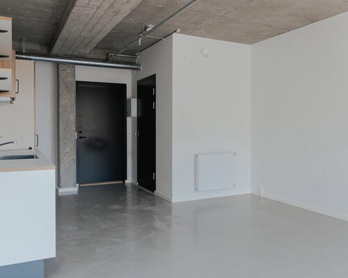 Lyst studio med plads til det hele