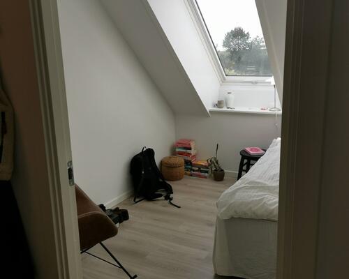 Delevenligt lejemål søger ny lejere