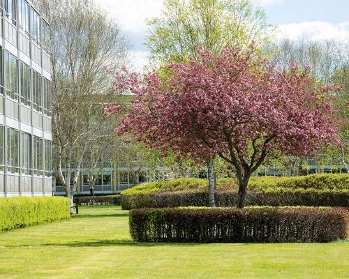 1 værelses lejlighed på 33 m²