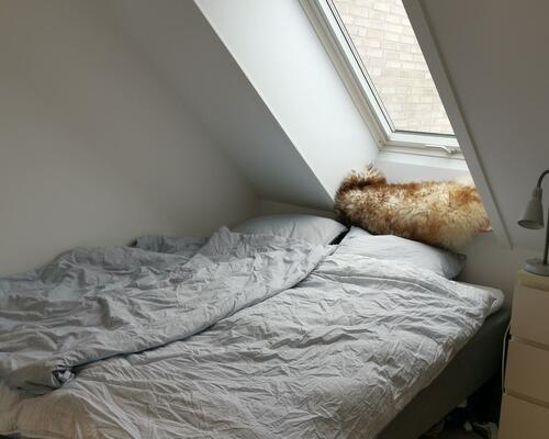 Delevenligt lejemål søger ny lejere