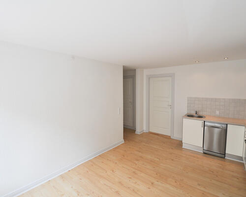 Studievenlig lejlighed med lys og charme i Aalborg