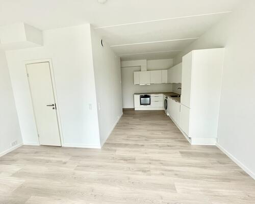 2 værelses lejlighed i Viborg