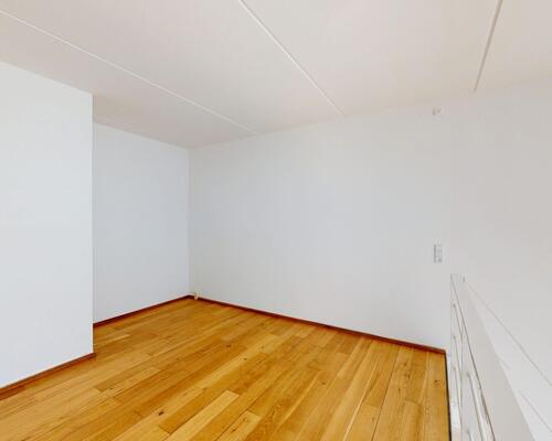 2 værelses lejlighed i København S