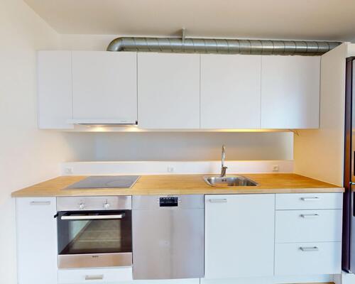 2 værelses lejlighed i København S