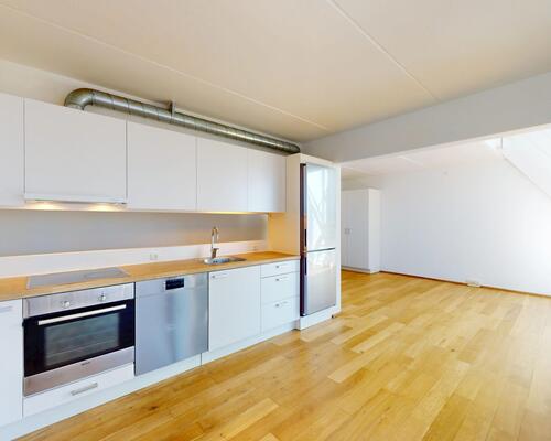 2 værelses lejlighed i København S