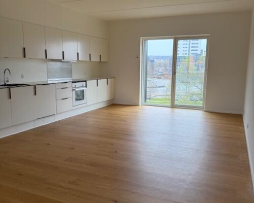 Stor 2 vær. lejlighed Holmen/Føtexhus i Vejle - Fælles tagterrasse