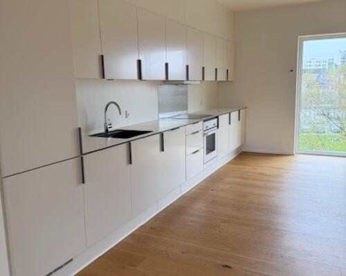 Stor 2 vær. lejlighed Holmen/Føtexhus i Vejle - Fælles tagterrasse