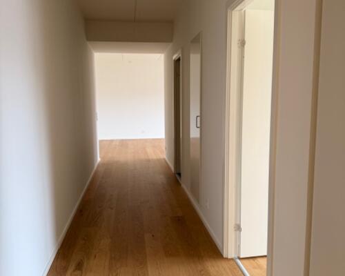 Stor 2 vær. lejlighed Holmen/Føtexhus i Vejle - Fælles tagterrasse