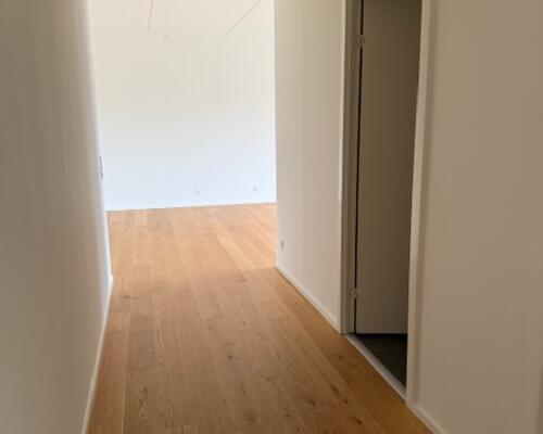 Stor 2 vær. lejlighed Holmen/Føtexhus i Vejle - Fælles tagterrasse