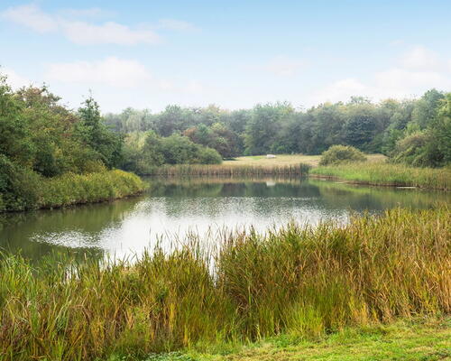 3 værelses lejlighed i Hedehusene
