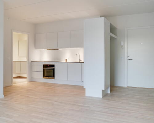 Stor og lys 2-værelses lejlighed med vestvendt altan