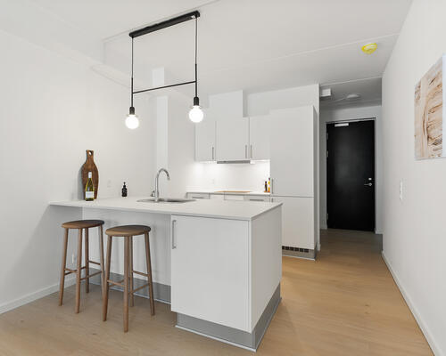 STOR RUMMELIG 2-VÆRELSES I AARHUS C