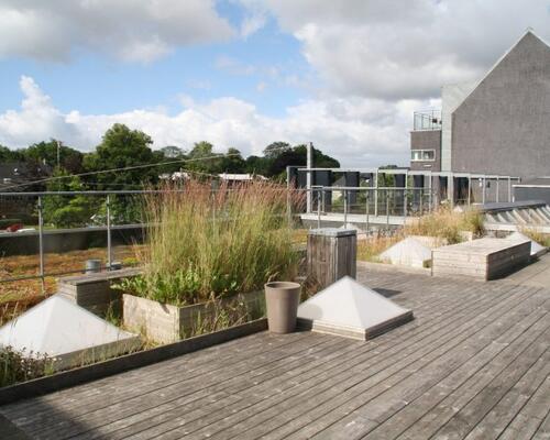 Hyggelig studie lejlighed med god beliggenhed på Frederiksberg