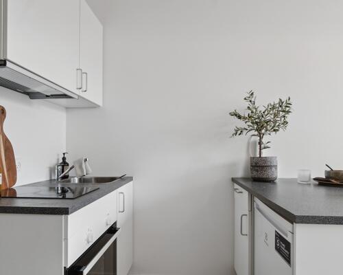 Studiebolig med skønne faciliteter