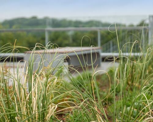 Lækker og delevenlig 3'er med altan