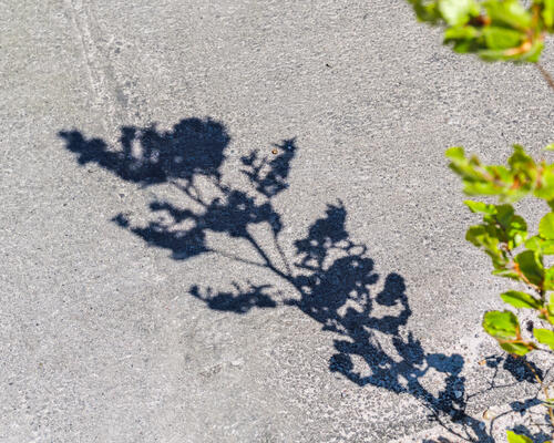 TO PLANS RÆKKEHUS TIL HELE FAMILIEN I SKØNNE OMGIVELSER