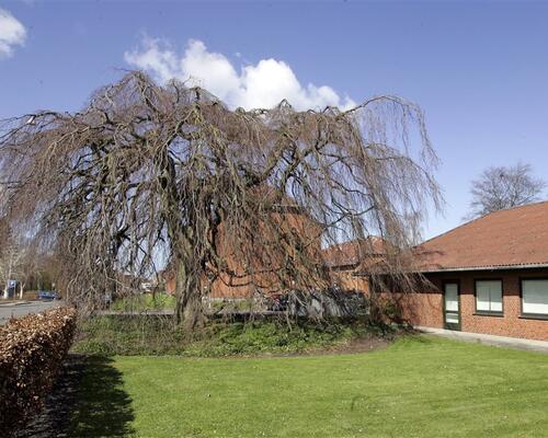 3 værelses lejlighed i Sakskøbing