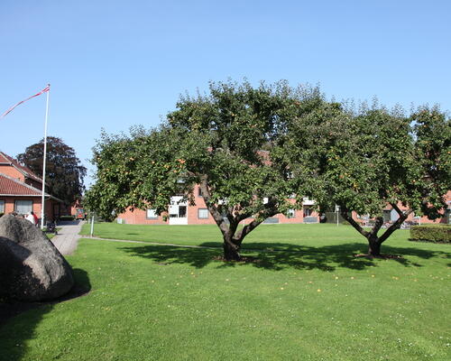 3 værelses lejlighed i Sakskøbing