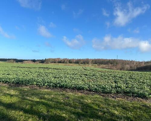 3 værelses hus i Skals