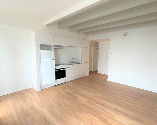 Lys 1-værelses på Gøteborg Allé