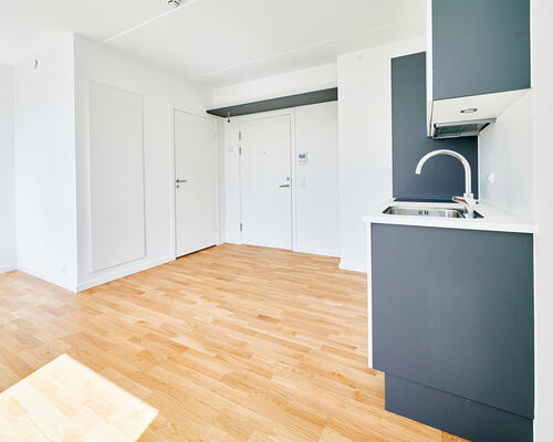 1 værelses lejlighed i Valby