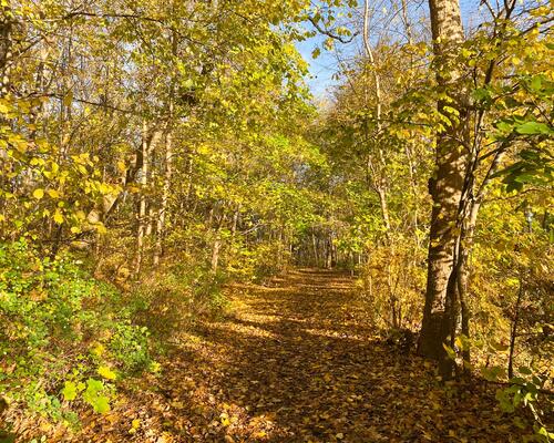 5 værelses lejlighed i Hørsholm