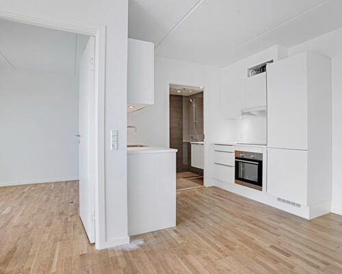 Nyopført 2-værelses lejlighed i Skejbyen