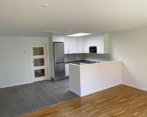 2 værelses hus i Odense S