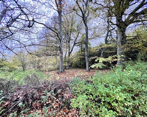 Lys og moderne 1. sals lejlighed med alt i hårde hvidevarer