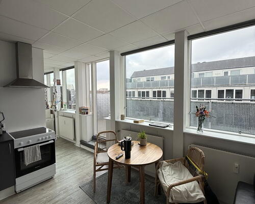 Lys 1-værelses med stor altan, bykig og elevator – 55 m2 med vaskemaskine