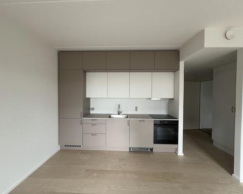 Velindrettet 2-værelses lejlighed på øverste sal i attraktive Porskjær Have